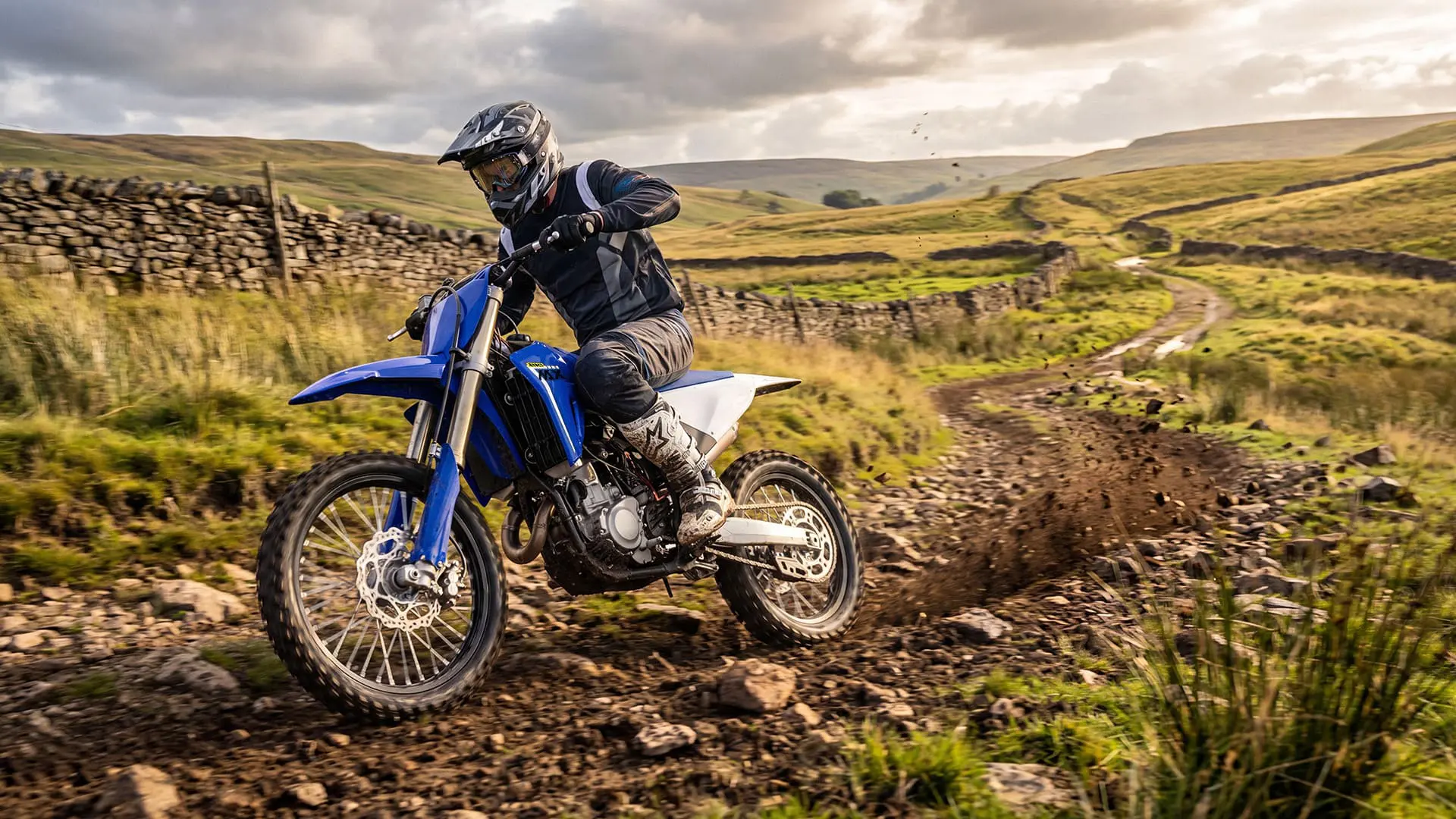 MX250 - gallery image 1