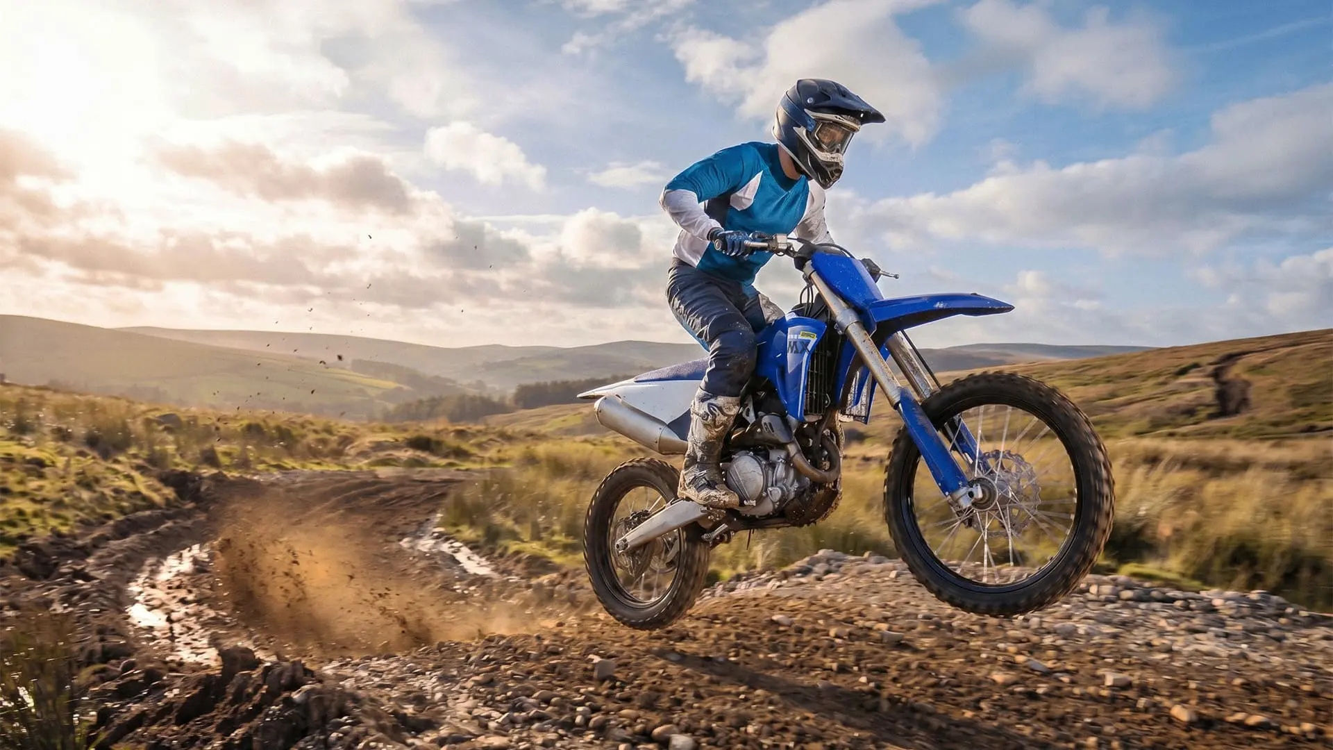 MX250 - gallery image 2