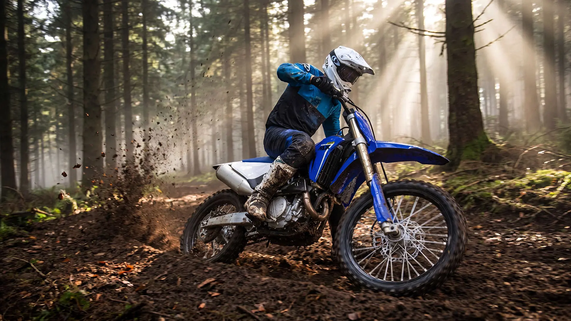 MX250 - gallery image 3